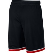 Баскетбольные шорты NIKE Dri-FIT CLASSIC SHORT - фото 10530